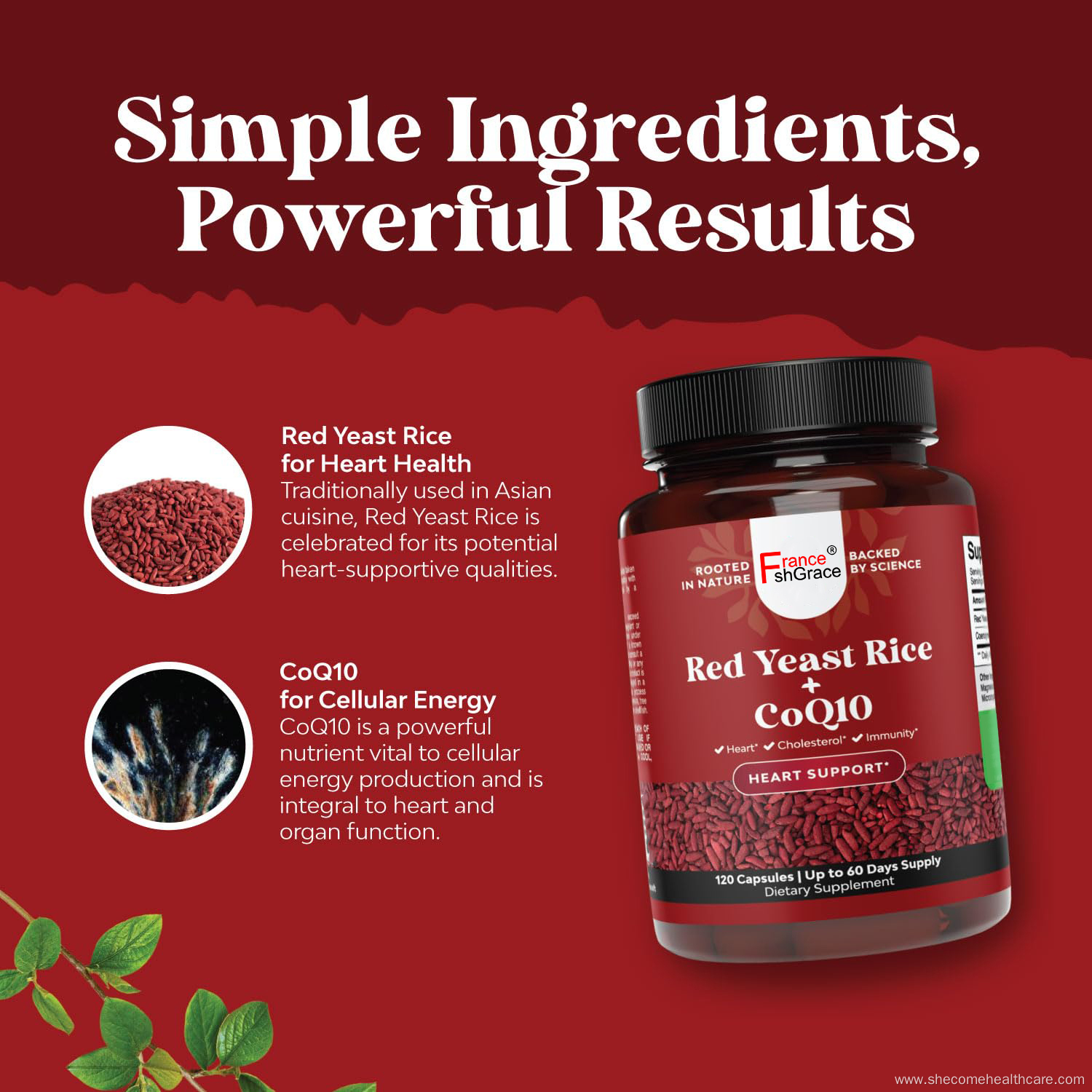 Red Yeast Rice with CoQ10 Supplement for adult
