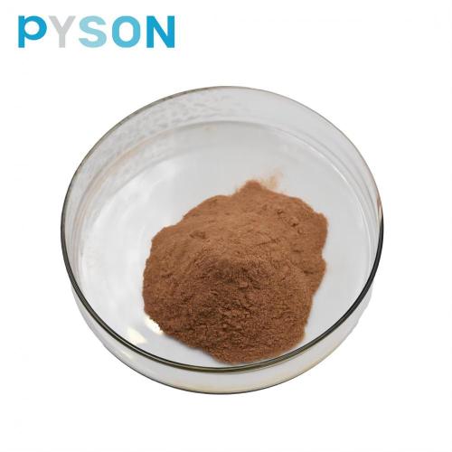 Best Chinese goji berry extract powder