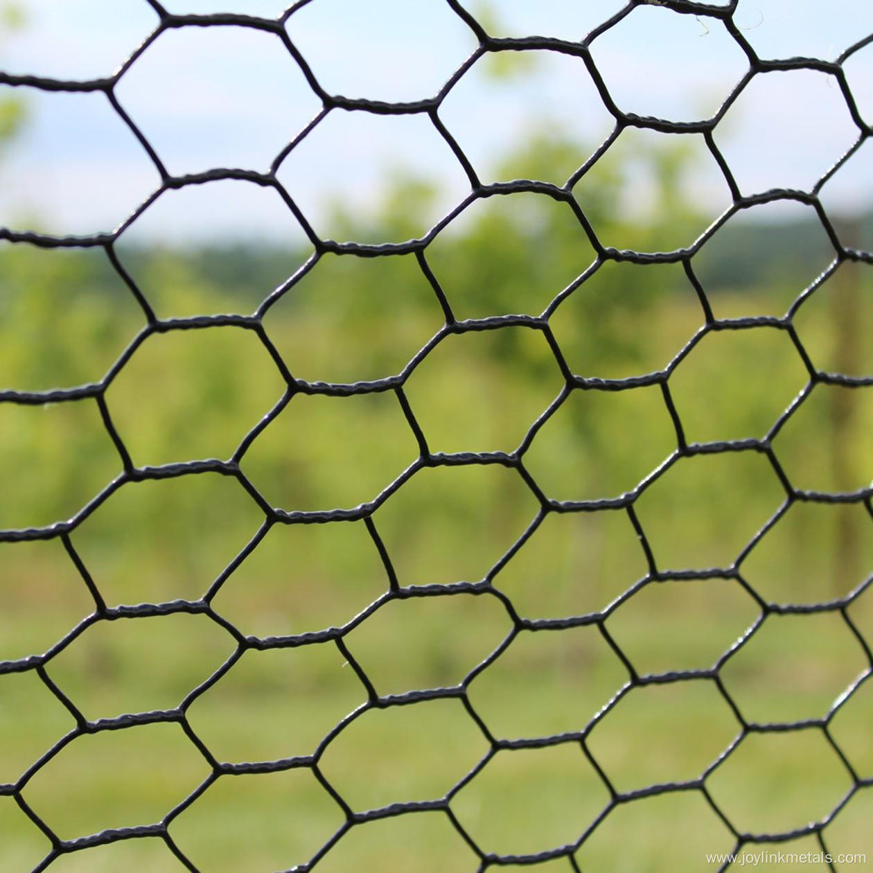 Chicken Hexagonal Wire Netting Wire Mesh