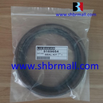 Complete Cylinder Seal Kits for Liebherr Excavators: 9169654
