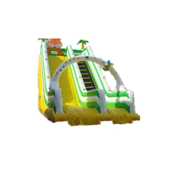 Commercial Cheap Inflatable Slides and Bounce Houses for Outdoor Amusement