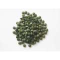 Chlorella Proteïnepoeder 90% Sportvoeding