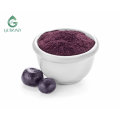 Proveedor a granel de polvo de baya de Acai natural