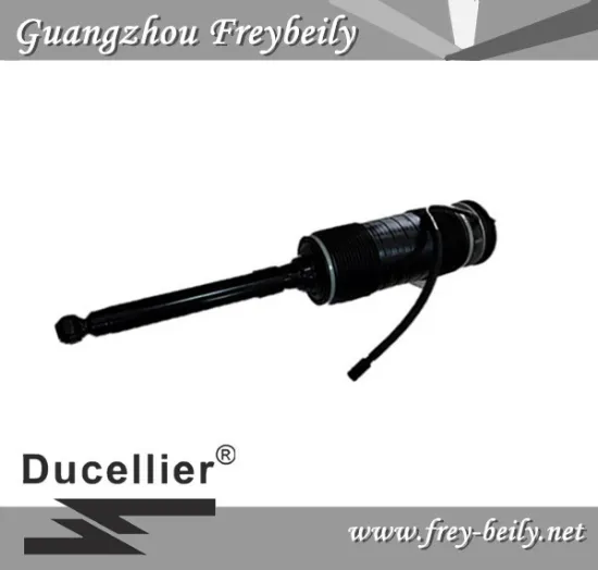 Mercedes Benz Left Rear/ Right Rear Hydraulic Shock Absorber W2213200313/W2213208913