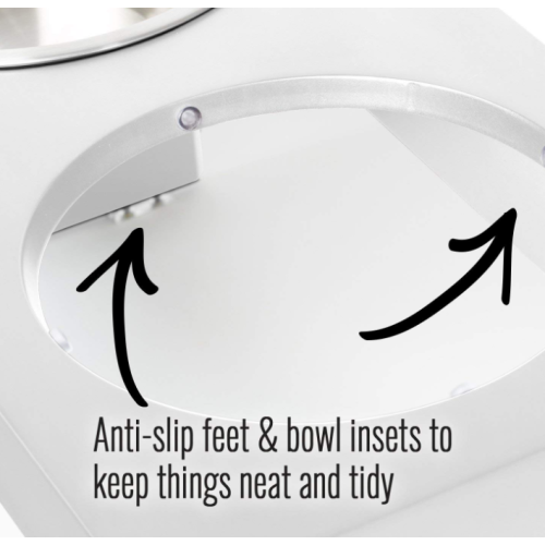 Stainless Steel Raised Pet Bowls