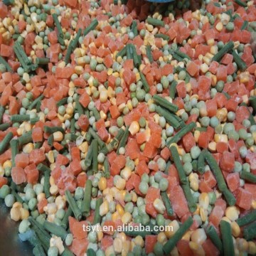 frozen iqf chilled fresh chilled mix mixed vegetable vegetables at competitive price