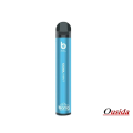 Großhandel Einweg-E-Zigarette Bang XXL