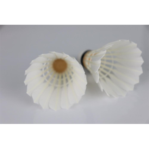 Sports Training High Durable Badminton Shuttlecock