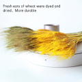 50Pcs Grain Wheat Ears Natural Dried Flowers Wheat Bedroom Living Room Decoration Bouquet Decoration Shooting Props