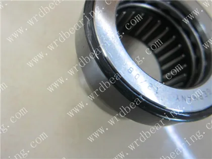 INA Needle Bearing