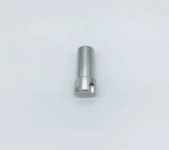 Stainless Steel SS316 Lock Pins