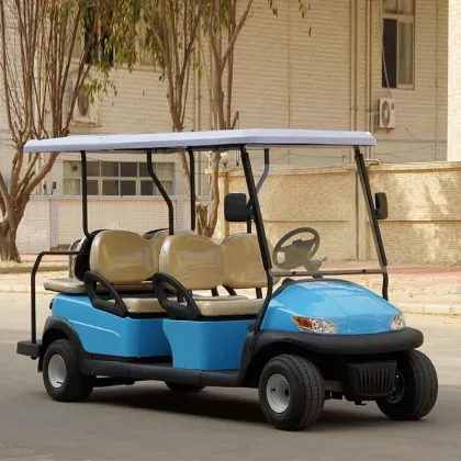 Electric Golf Carts and Sightseeing Cars: 2, 4, 6 Seater Options Including Club Car Models