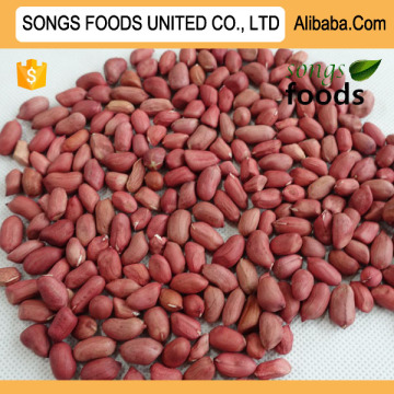 Wholesale Peanuts Red Skin Peanuts Kernels