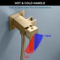 Brushed Gold Handheld Bidet Sprayer for Toilet WC