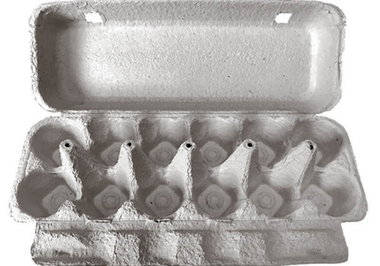 paper egg cartons bulk