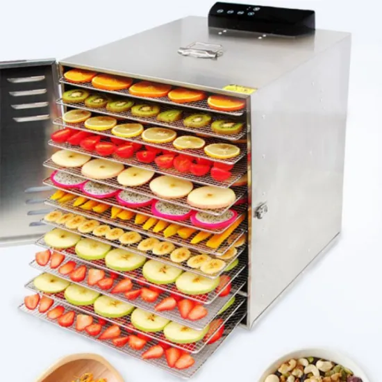 Professional Mango Dryer Machine and Food Dehydrator Equipment for Efficient Fruit Drying