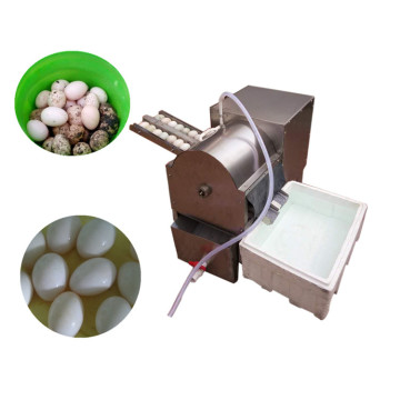 Small Scale Duck Egg Washing Machine - Eggs Washer for Different Countries (WhatsApp: +86-15639144594)