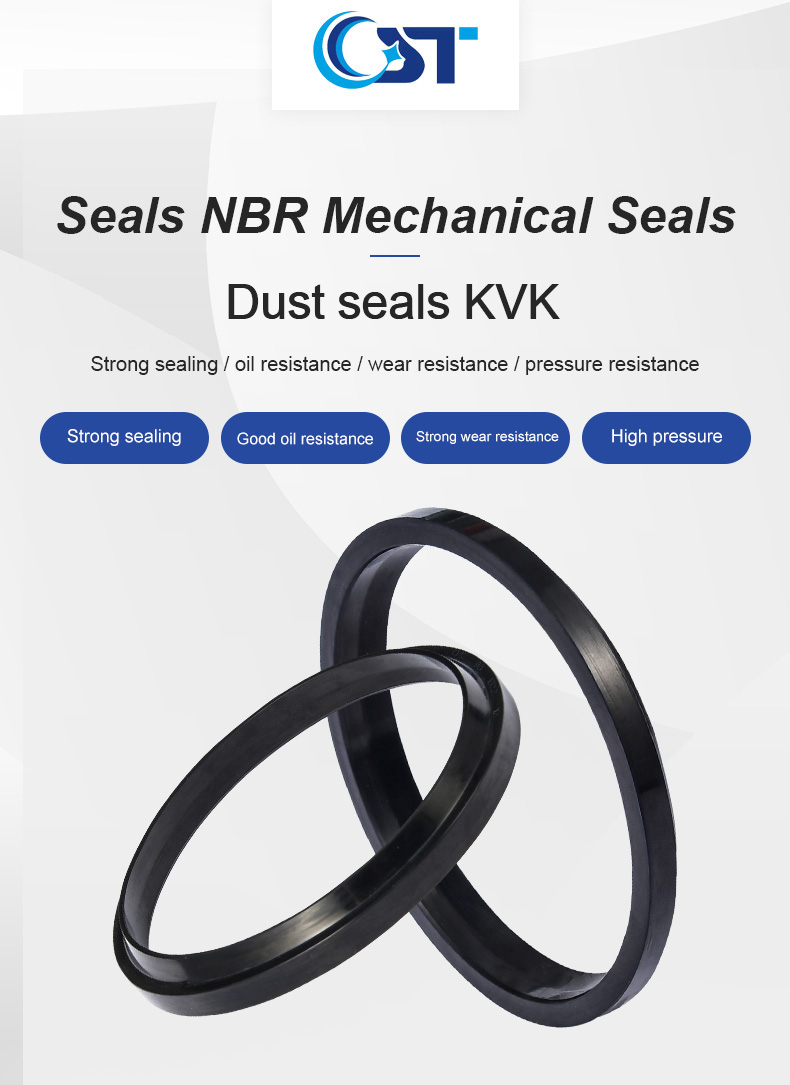 Wp6 Dust Seal Nbr