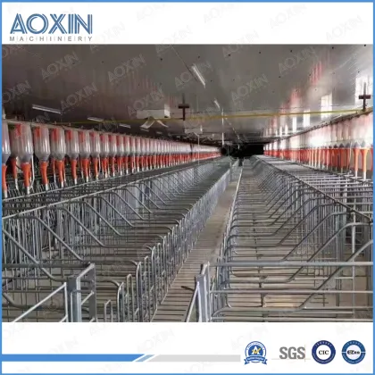 Pig Farm Automatic Feeding System Equipment for Livestock Farm Construction