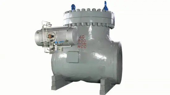 Exhaust High Pressure Check Valve