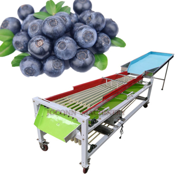 Piccola macchina per ordinamento della frutta e verdura: uva, limone, giujube, gradatore di lamponi