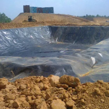 Layfield Geomembrane Visqueen High Performance Pond Liner for Reservoir Projects in South Africa