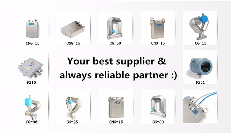 Natural gas Coriolis mass flow meter, mass flowmeter with flow rate 18kg/min