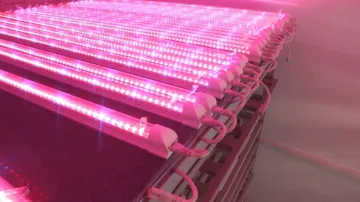 T8 LED integration Grow Lights Fill light