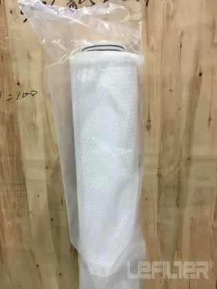 Pentair water filter cartridge ALN01-60B