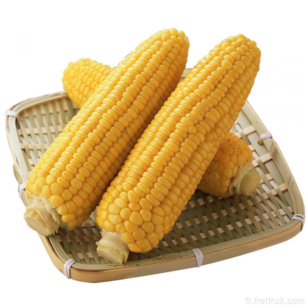 Coup de maïs sucré de qualité