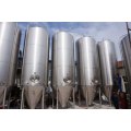 Dsihed heads for Fermentation Tank