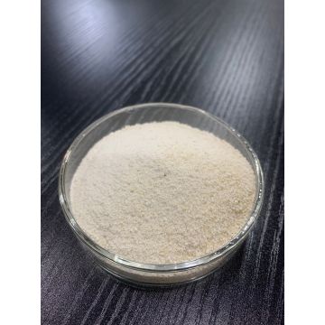 Premium Rice Protein 70% for Animal Feed Additives