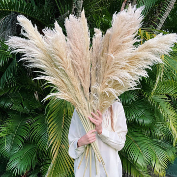 Wholesale Artificial Pampas Grass for Home and Wedding Decorations - Elegant Packaging Included