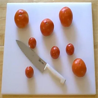 teflon cutting board/butcher chopping board/plastic cutting board