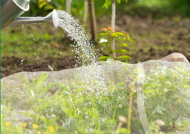 害虫駆除50メッシュのための高品質の農業昆虫ネット