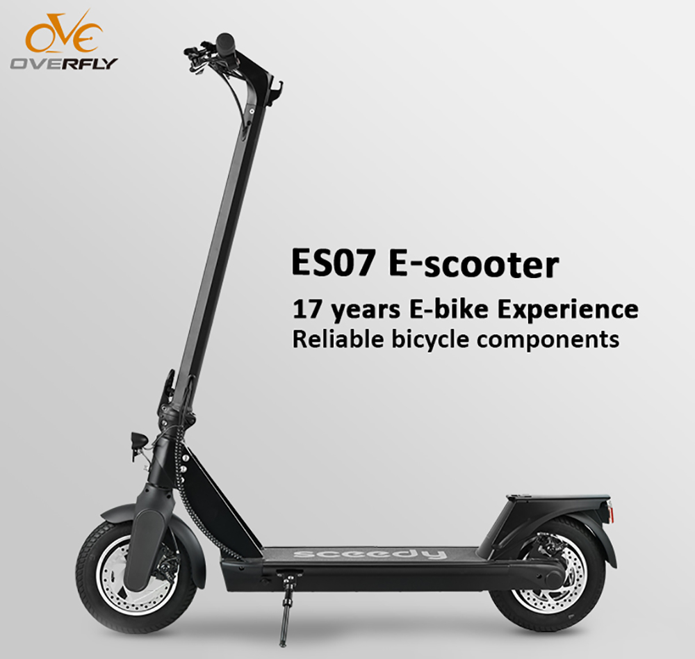 10 Inch E scooter