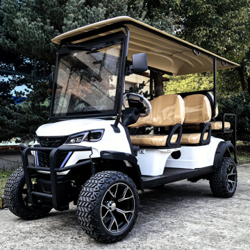 Custom Aluminum Frame LSV Sightseeing Golf Cart - 6 Seater Electric Vehicle