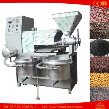 Oil Press Mustard Black Grape Seed Oil Extraction Machine