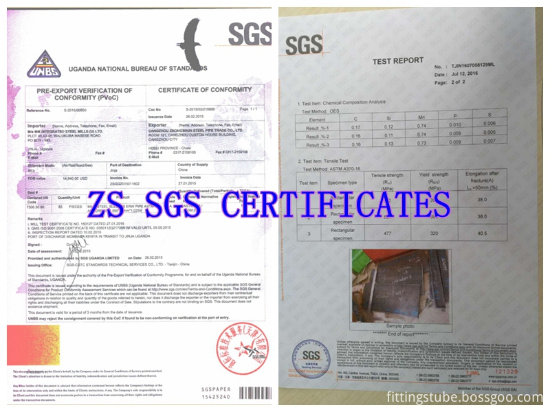 SGS inspection report_