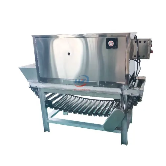 Automatic Electric Airflow Onion Skin Removing and Peeling Machine