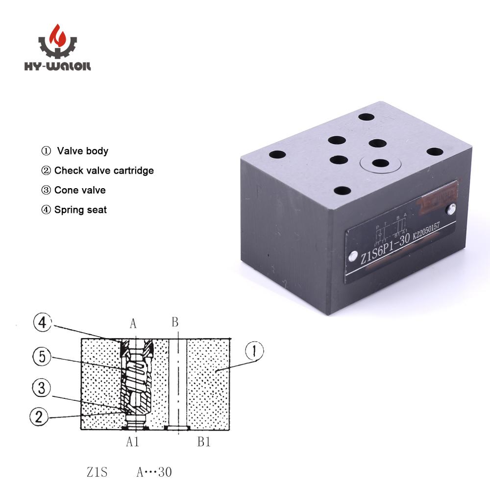 Z1s6 Check Valve Data