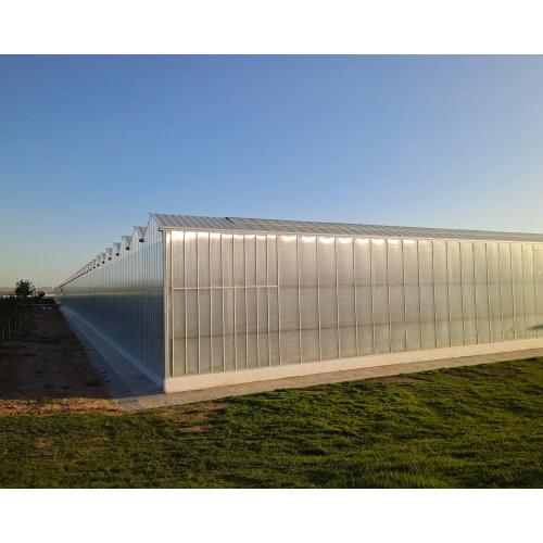 Aluminum Gutter Polycarbonate Greenhouse