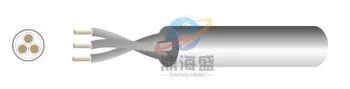 National standard wire RVV2