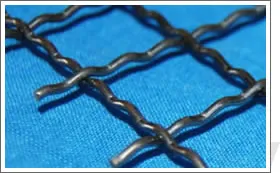 Galvanized Crimped Wire Mesh 