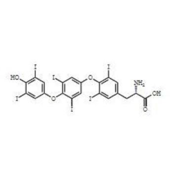 Impure de la lévothyroxine haute pureté F 911661-90-0