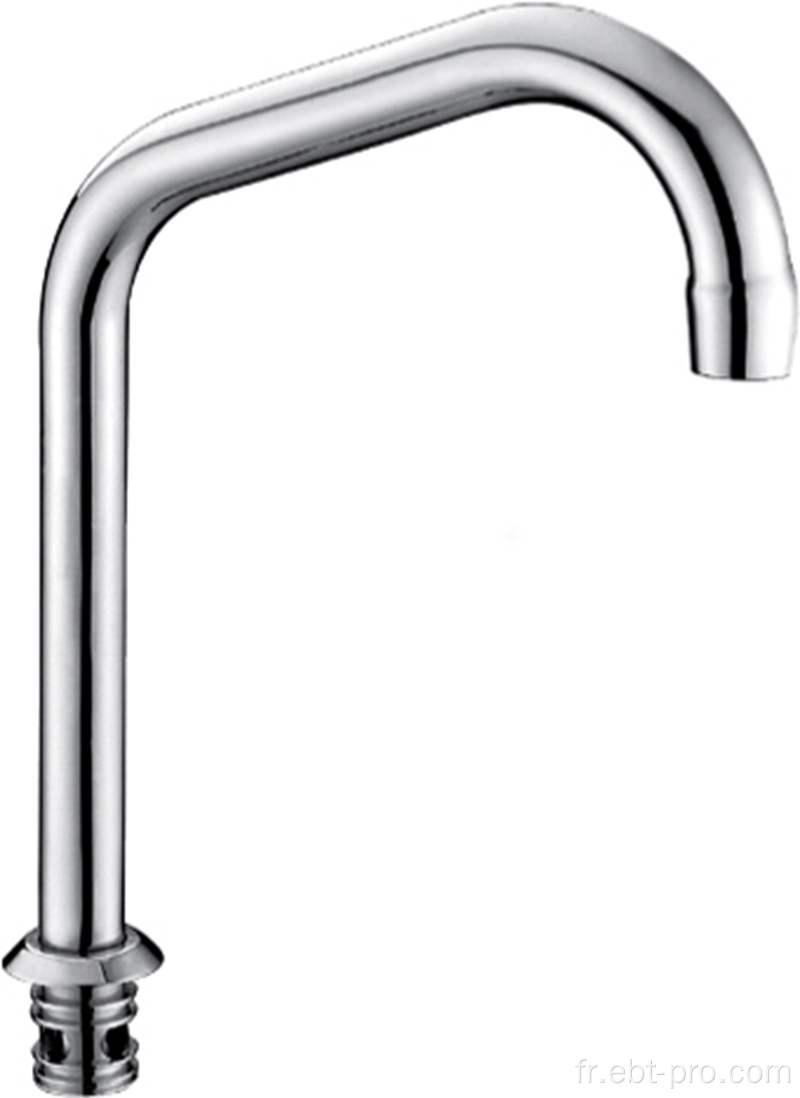 Chrome Nickel Finish Dual Spout