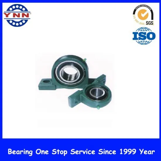 Automotive Use Chrome Steel Bearing Pillow Block P211