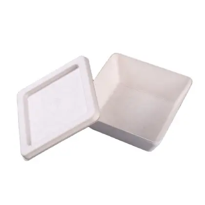 Biodegradable Bagasse Material White Tea Leaf Pulp Box