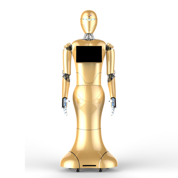 Golden Reception Robot: A Distinctive Robotic Service Solution