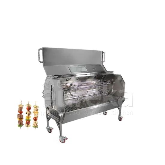 Pig Lamb Spit Rotisserie Ss Grill Design Outdoor Bbq Gas Grill for Balcony